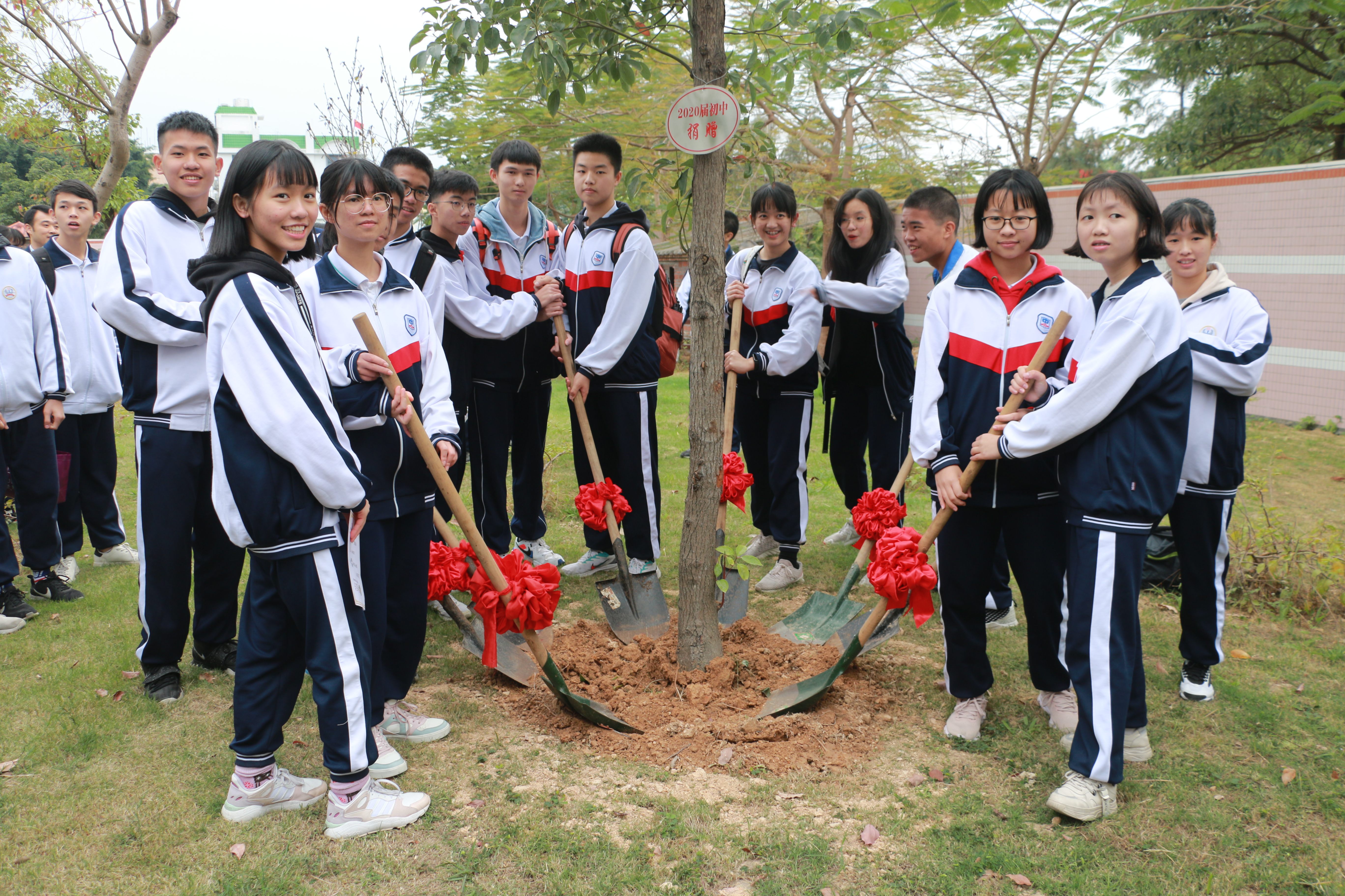 16、種植狀元樹.JPG