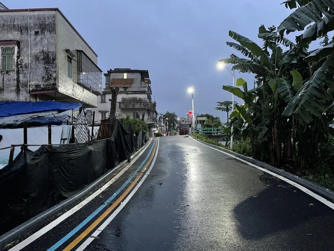 8修剪后，道路變得亮堂，附近村民的安全隱患也得到了解決.jpg
