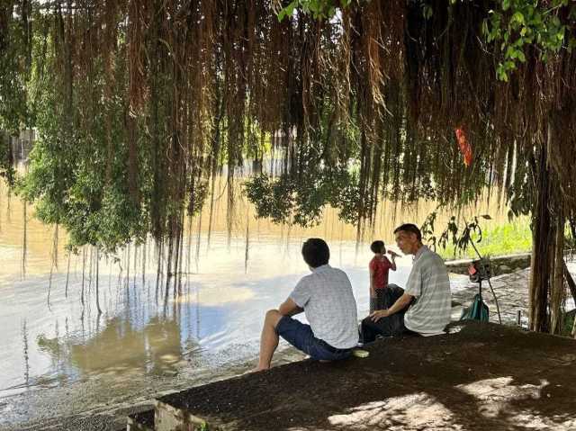 村民在大榕樹下乘涼聊天，黃姨（中）在岸邊唱歌。伍思懿 攝 