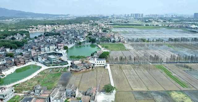 從長沙街道西溪村上空俯瞰，遠(yuǎn)處青山疊翠、高樓聳立，近處屋舍儼然，池塘星羅棋布，農(nóng)田成方連片