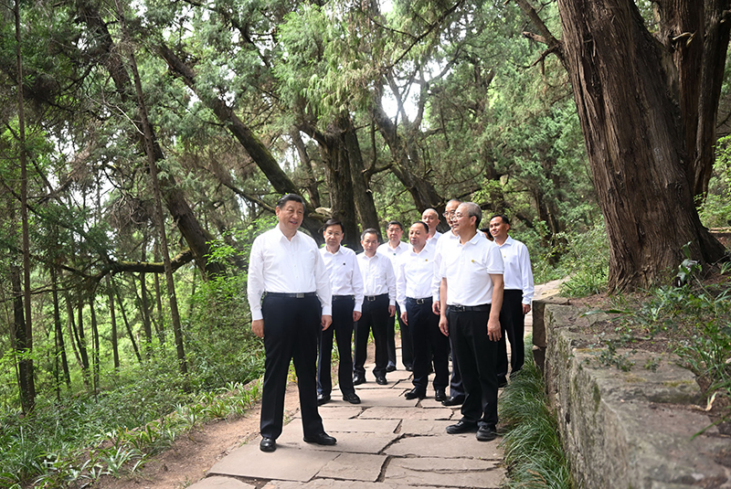 7月25日至27日，中共中央總書記、國家主席、中央軍委主席習(xí)近平在四川考察。這是25日下午，習(xí)近平在廣元市劍閣縣翠云廊考察。