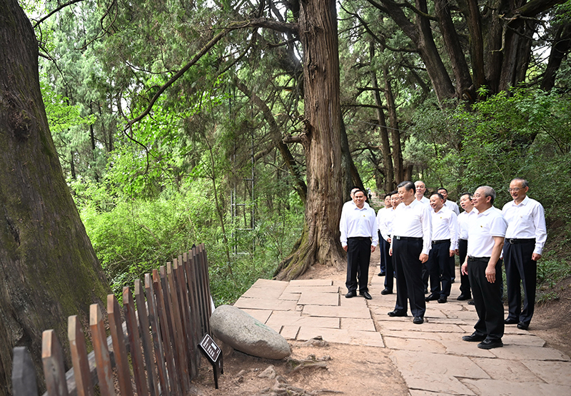 7月25日至27日，中共中央總書記、國家主席、中央軍委主席習(xí)近平在四川考察。這是25日下午，習(xí)近平在廣元市劍閣縣翠云廊考察。