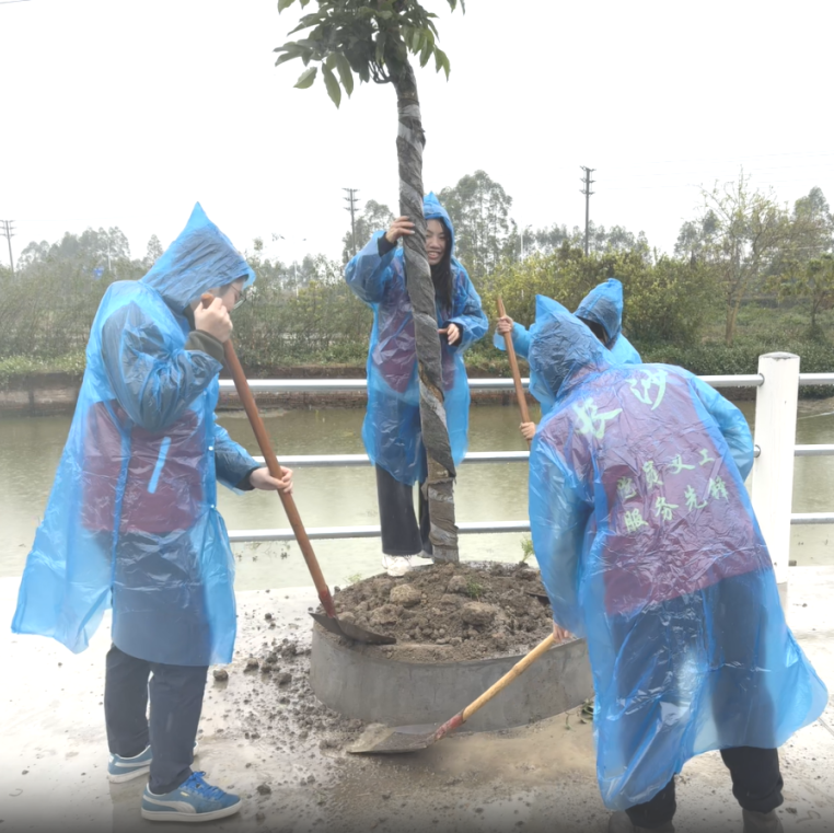 轉存圖片