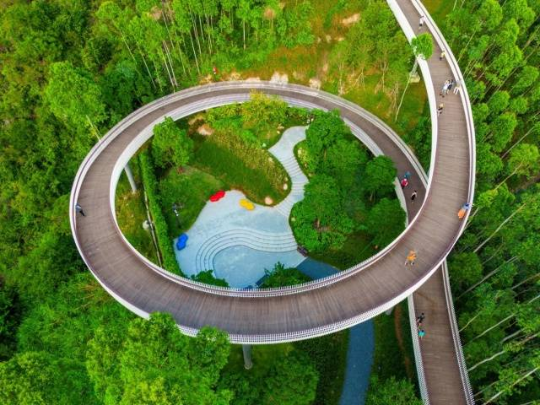珠海紅花山森林公園。圖源：南方+ 