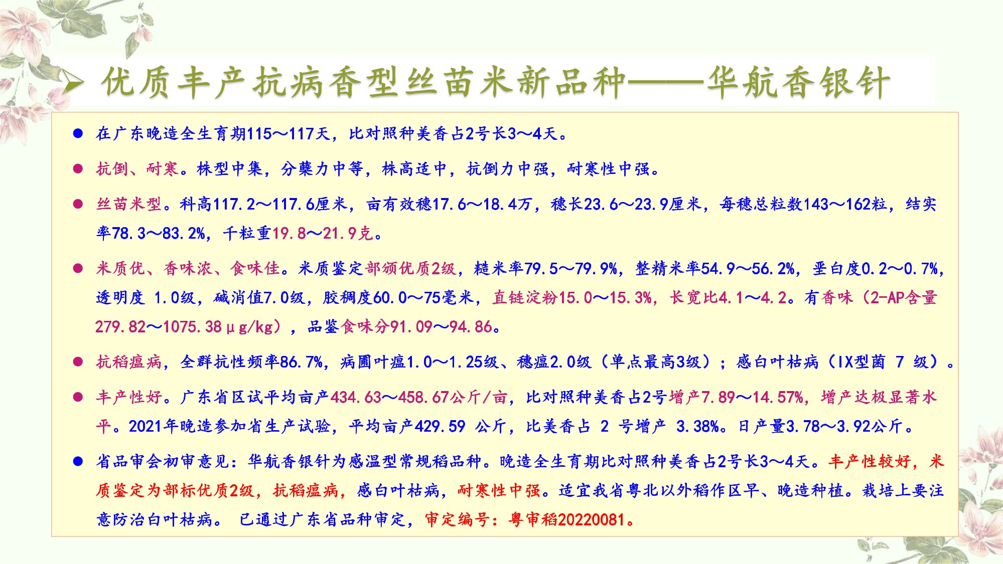 優(yōu)質(zhì)豐產(chǎn)抗病香型絲苗米品種-華航香銀針-華航31號(hào)等品種簡介-2.jpg