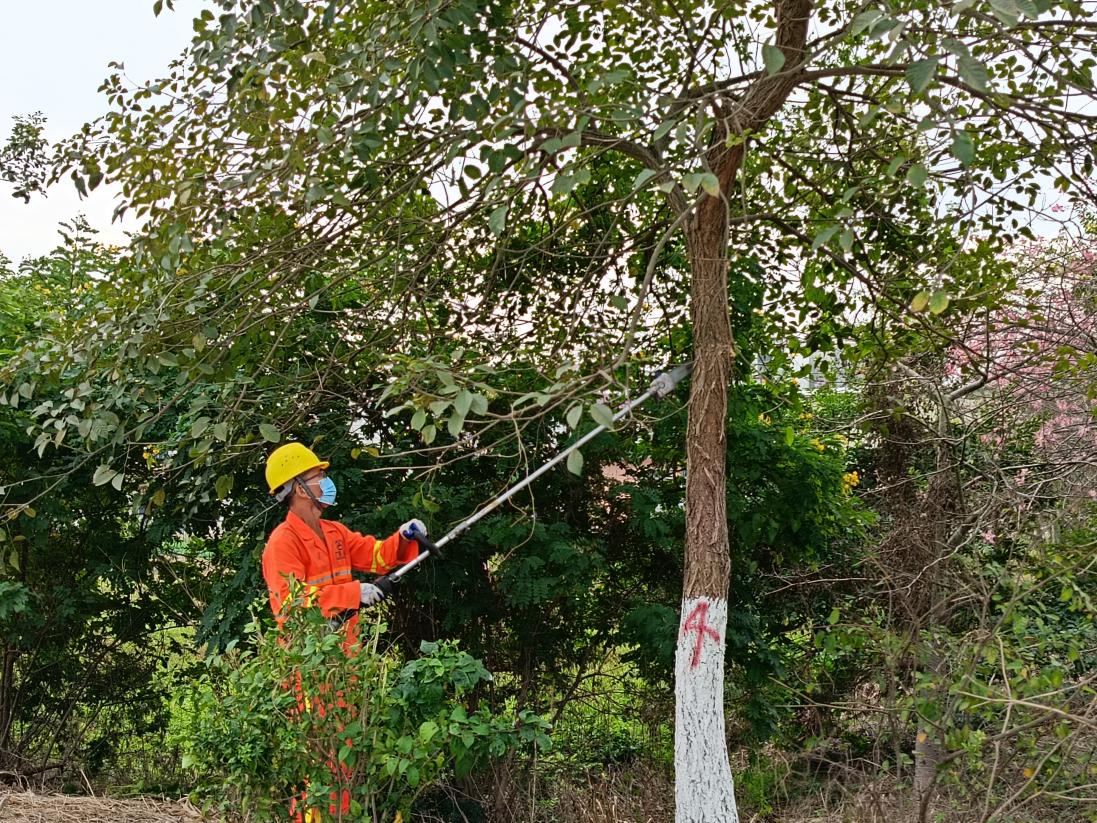 公路信息kp055-精準(zhǔn)培訓(xùn)提技能 以賽促練礪精兵——江門市開平公路事務(wù)中心開展2024年綠化養(yǎng)護(hù)培訓(xùn)與養(yǎng)護(hù)技能競賽.docx_3