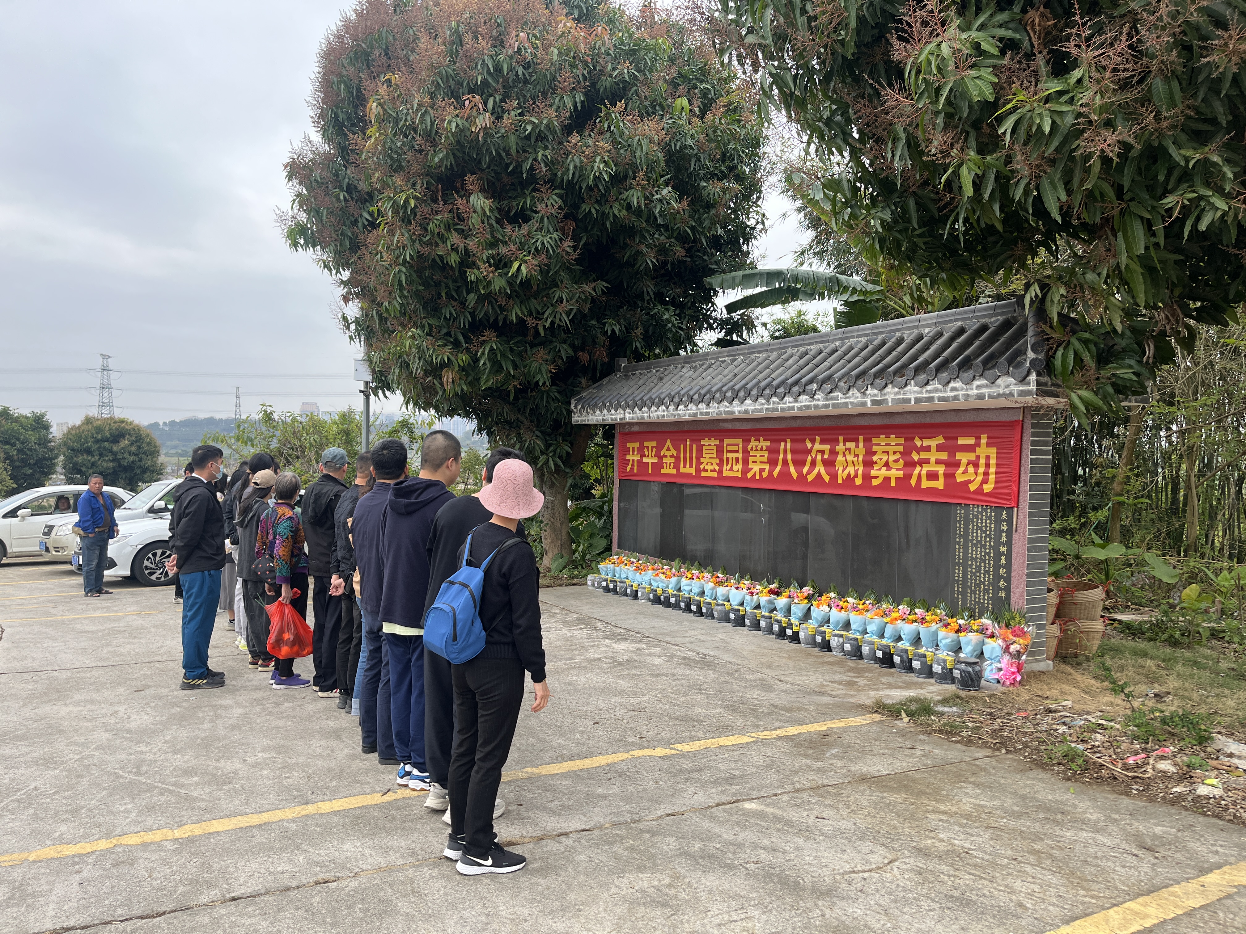 我們的節(jié)日·清明 開(kāi)平市成功舉辦第八次集體樹(shù)葬活動(dòng)