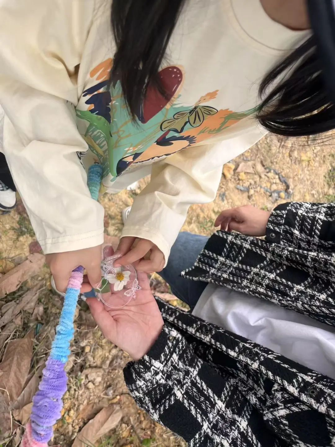 圖片