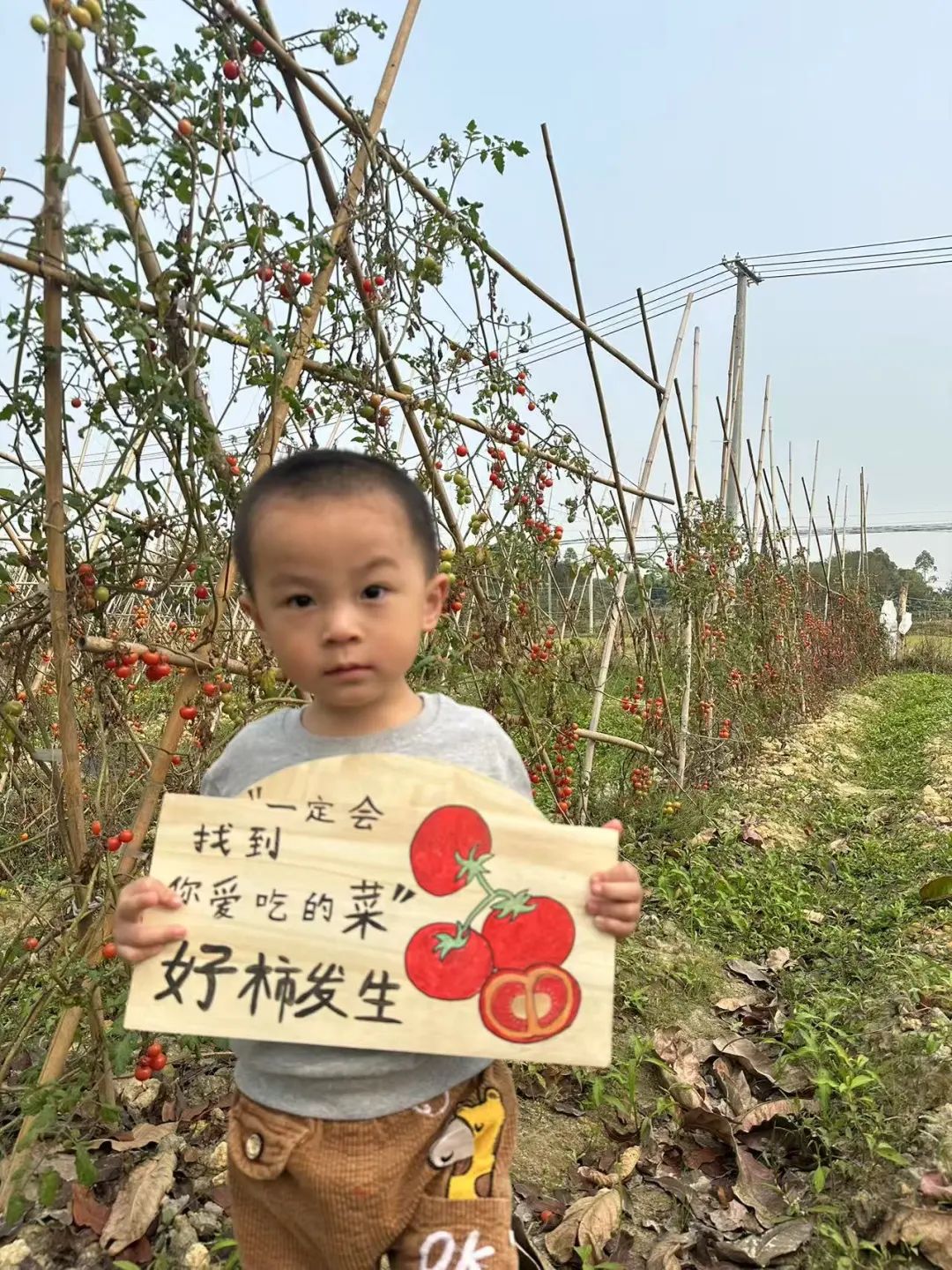圖片