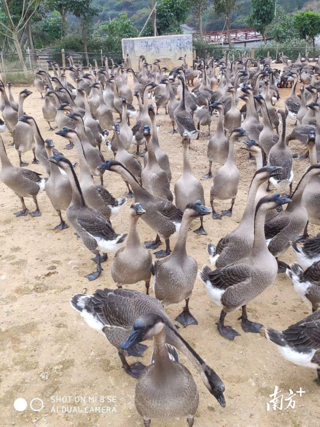 受訪者供圖