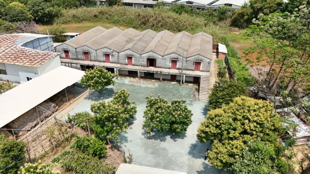 位于水口鎮(zhèn)向陽村的金山火蒜廠--吳瑞彬 攝.JPG