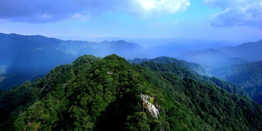 國際生物多樣性日 | 廣東物種“家底”有多厚？