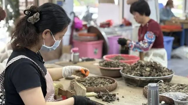 沉香加工利用。