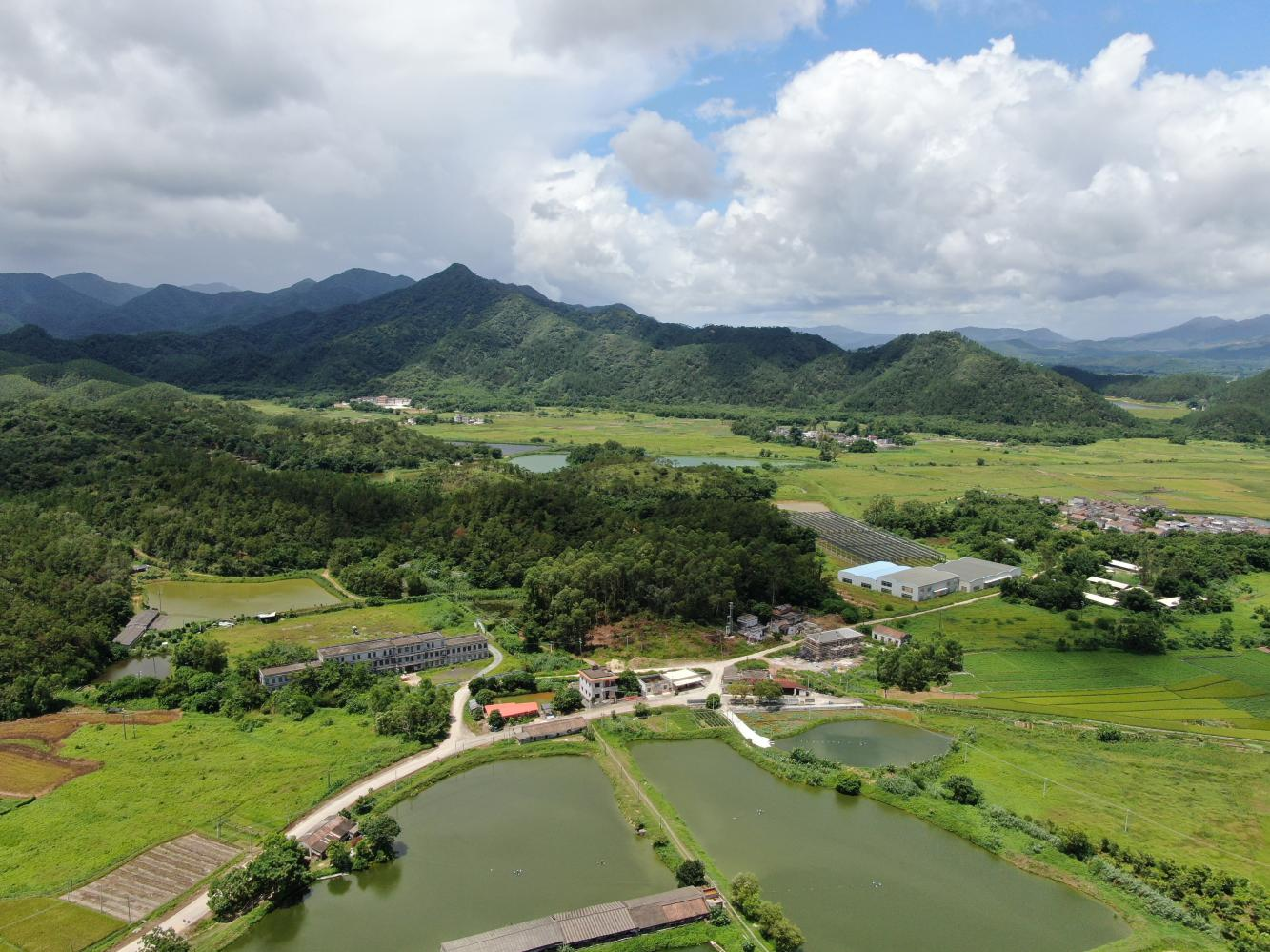 游東村委會(huì)航拍俯瞰圖.png