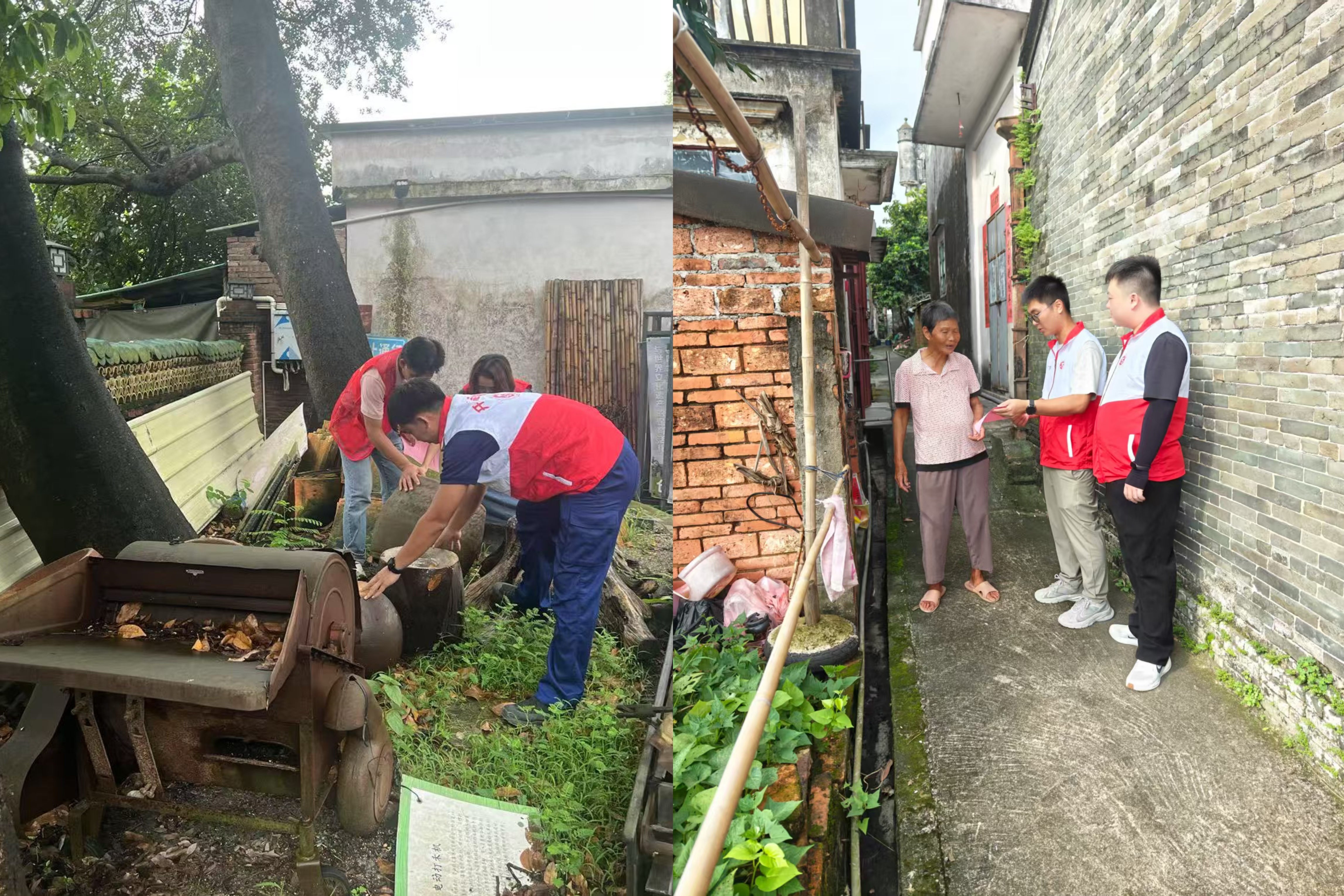 市應(yīng)急管理局黨員干部開展防蚊滅蚊統(tǒng)一行動