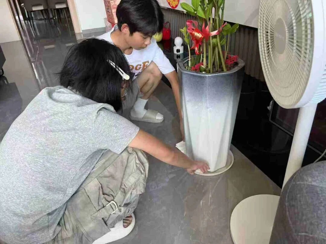 轉(zhuǎn)存圖片