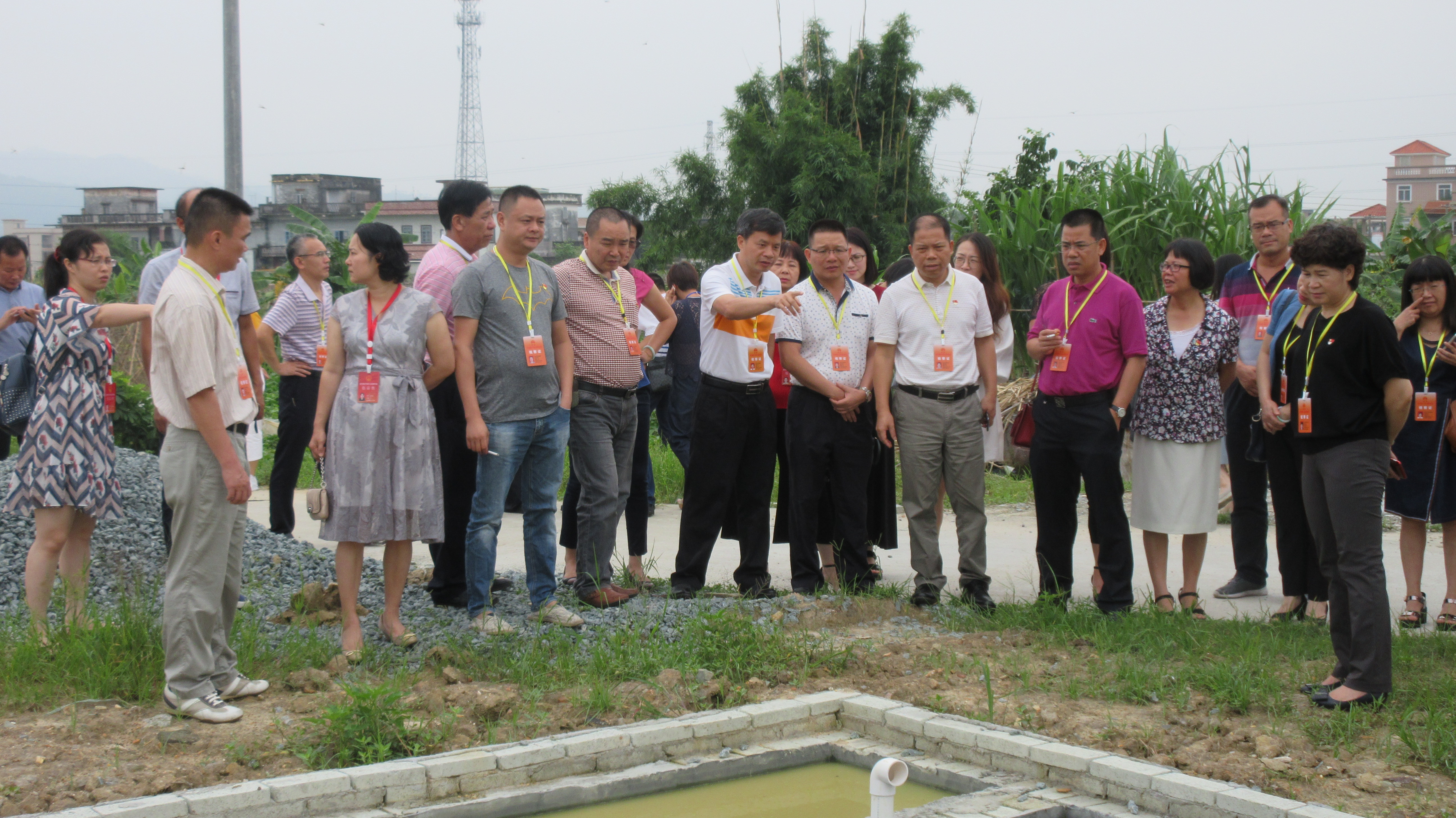 人大代表視察愛民大撻村“三清理三拆除三整治”工作情況.JPG